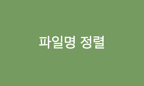 [문제풀이] 파일명 정렬