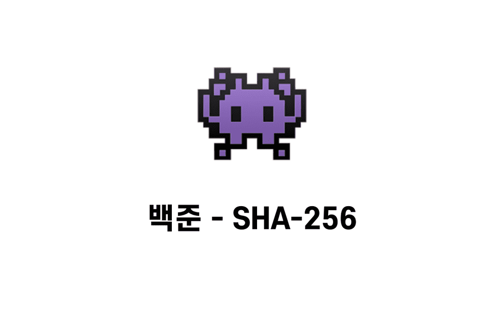 [문제풀이] sha-256 