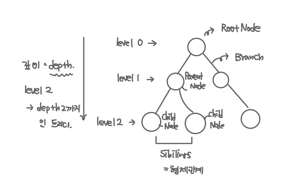 tree term